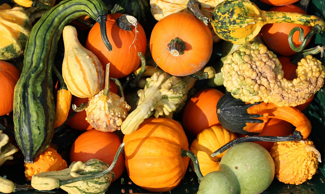 Selection of gourds
